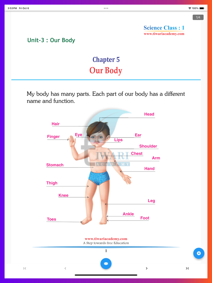 Class 1 all Subjects Solution