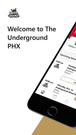 Game screenshot The Underground PHX mod apk