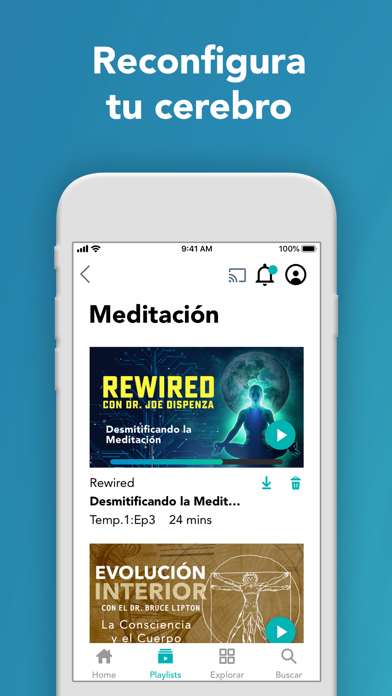 Gaia: Streaming Consciousness screenshot 6
