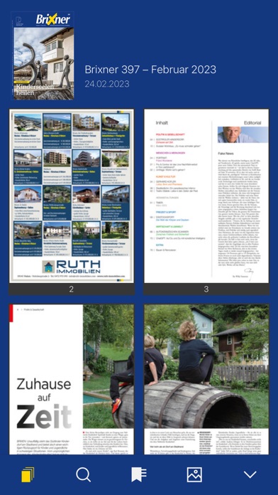 Brixner ePaper Screenshot