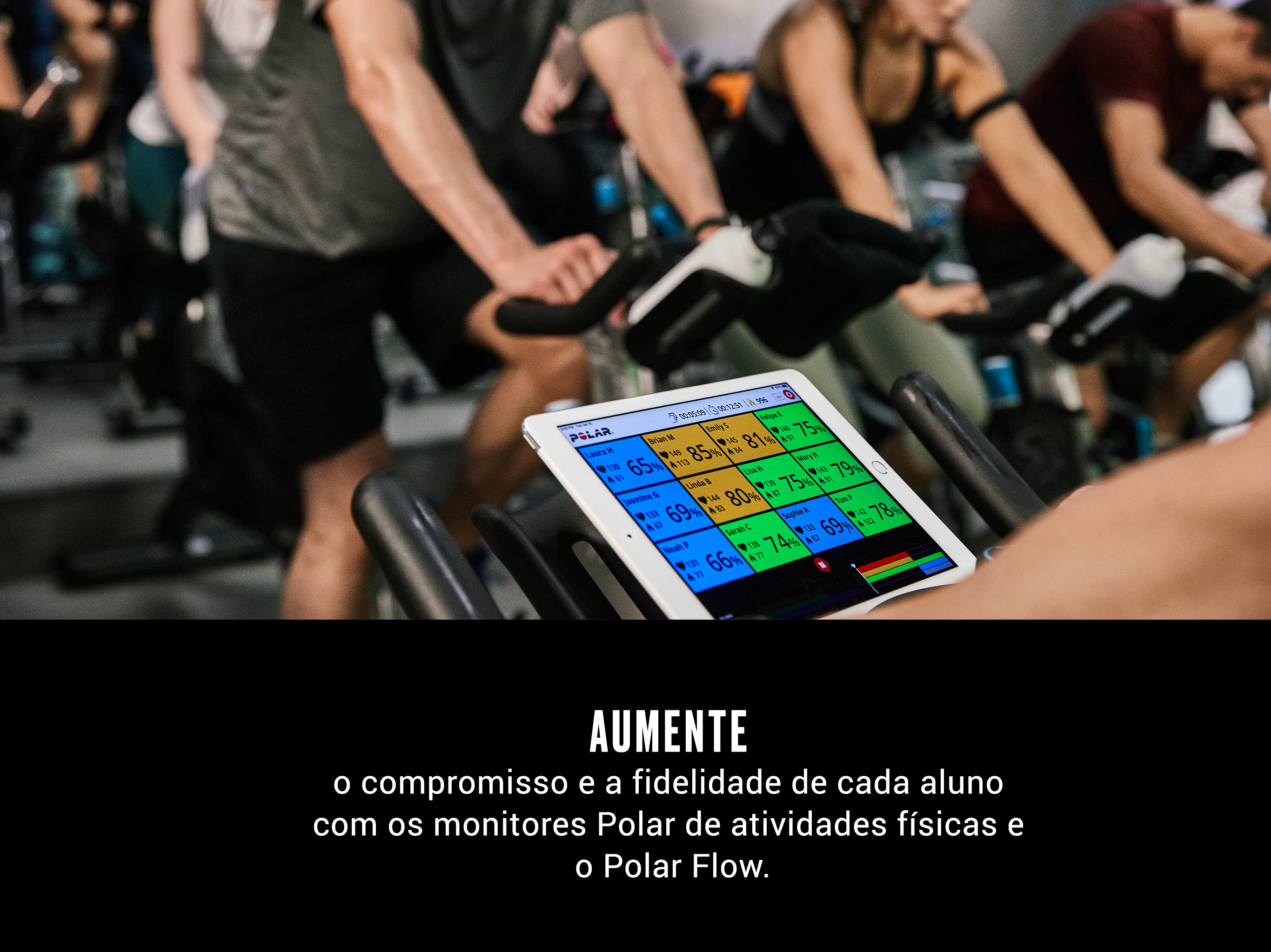 Polar Club