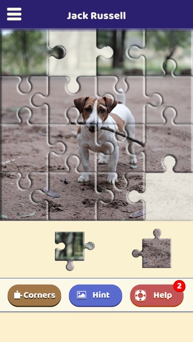 Jack Russell Puzzle Screenshot