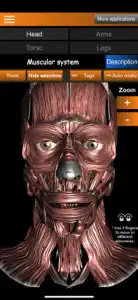 Muscular System 3D (anatomy) screenshot #2 for iPhone