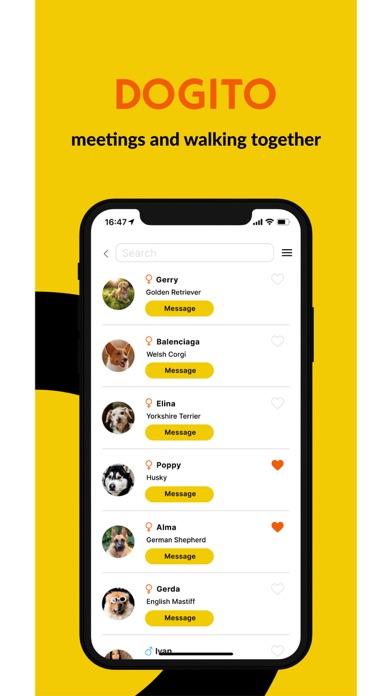 Dogito Screenshot