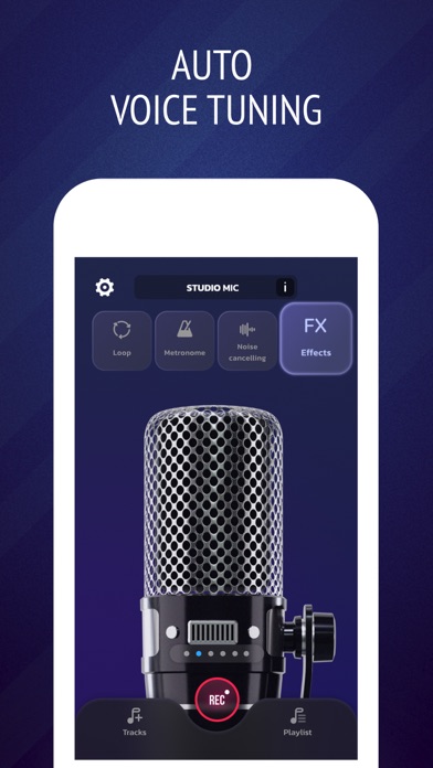 Pro Microphone: Voice Record Screenshot