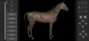 3D Horse Anatomy Software screenshot #6 for iPhone