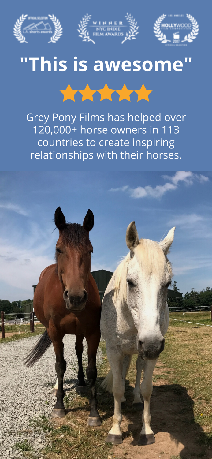 Polework Horse Riding Training