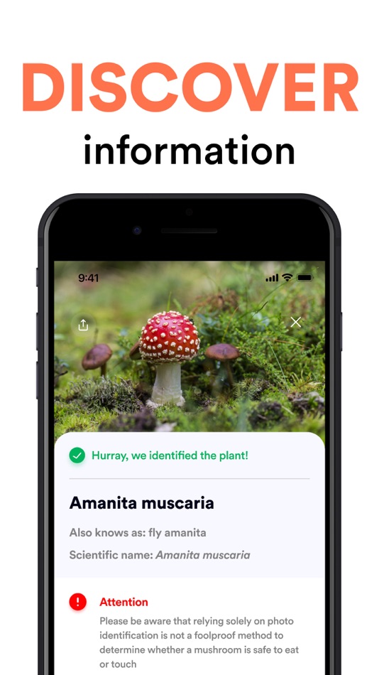 #3. Mushroom ID: AI Identification (iOS) 由: Alicja Nowicka
