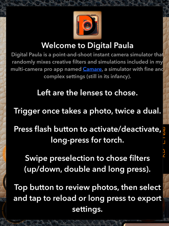 Screenshot #5 pour Digital Paula Instant Camera