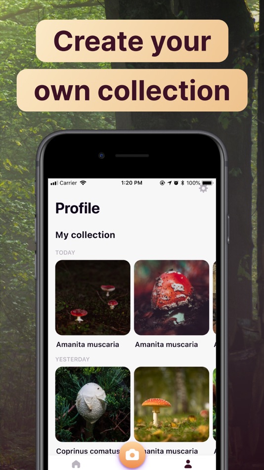 #5. AI Mushroom Identifier App (iOS) 由: DMYTRO CHERNOV