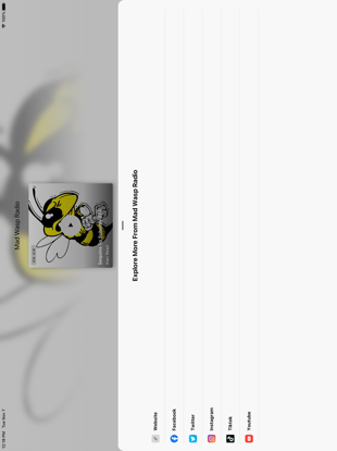 Mad Wasp Radio iPad screenshot 3 - Music app