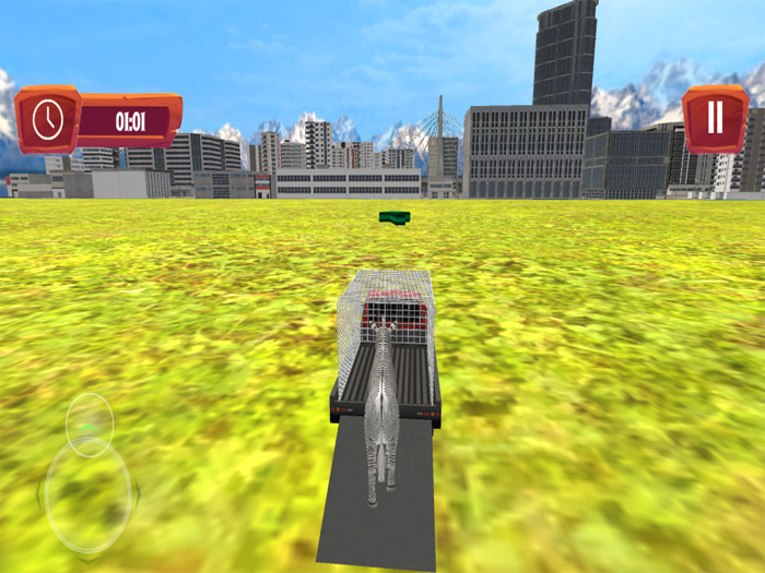 Zoo Animals Transport