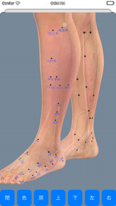経絡ツボ3Dのおすすめ画像5