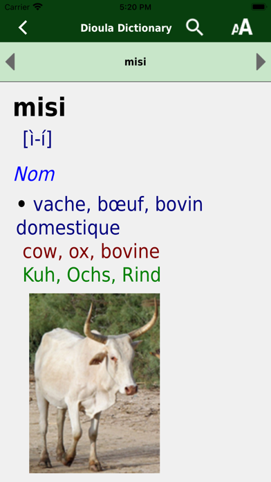 Dioula Dictionary Screenshot