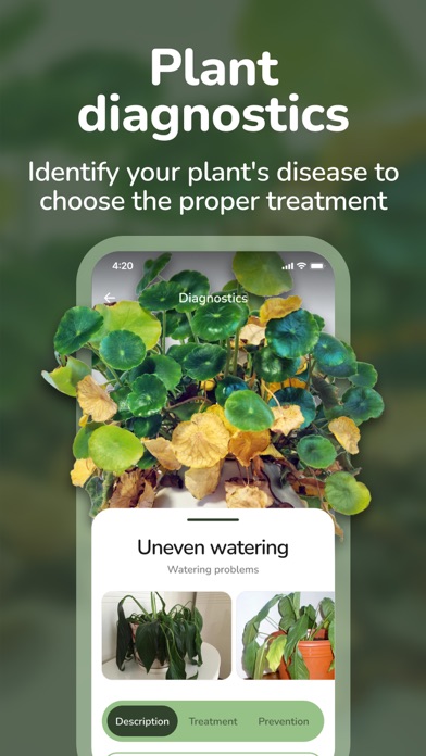 Plant ID - Flower Identifier Screenshot