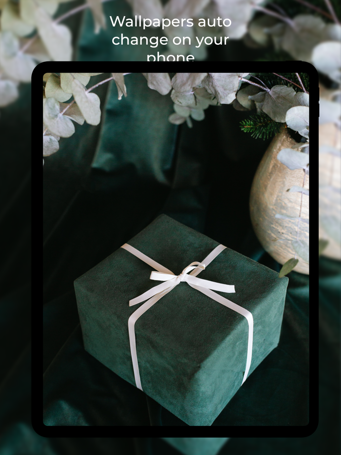 WallHub 4K Wallpapers