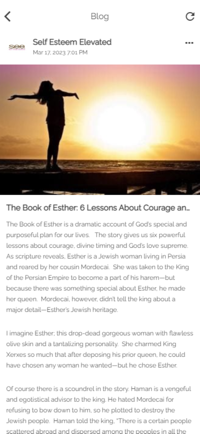 SEE - Self Esteem Elevated