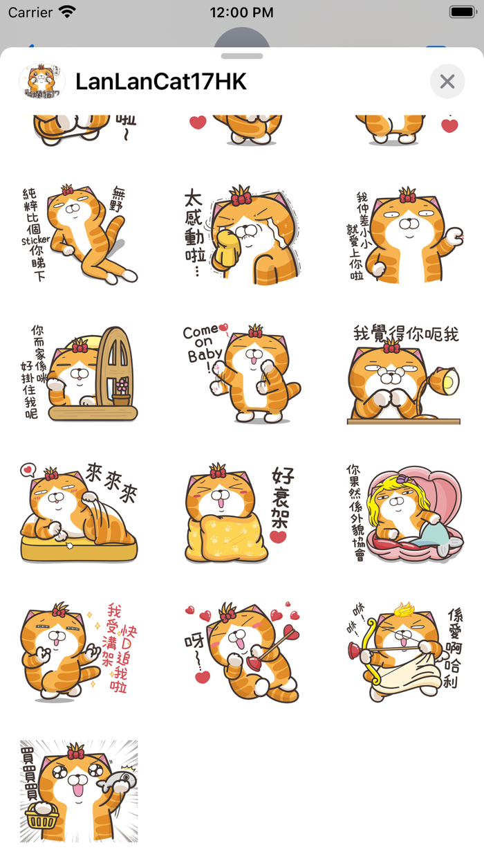 白爛貓17 三八阿花一朵花 HK