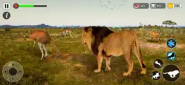 Game screenshot Lion Simulator Animal Survival hack