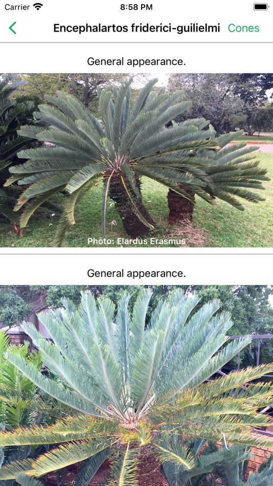 #2. SA Cycads (iOS) 由: Elardus Erasmus