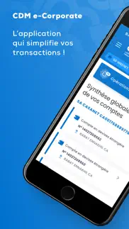 cdm e-corporate iphone screenshot 1