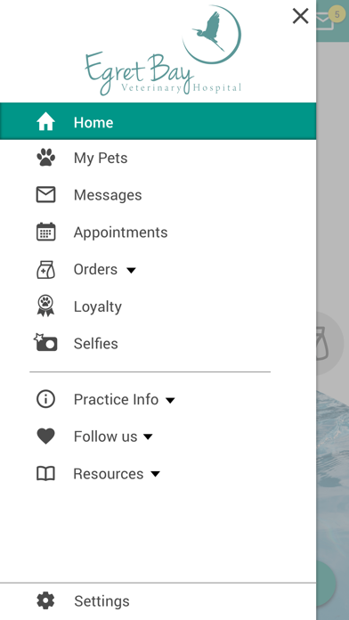 Egret Bay Veterinary Hosp Screenshot