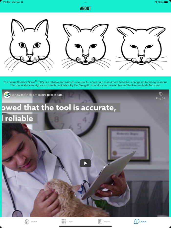 Feline Grimace Scale