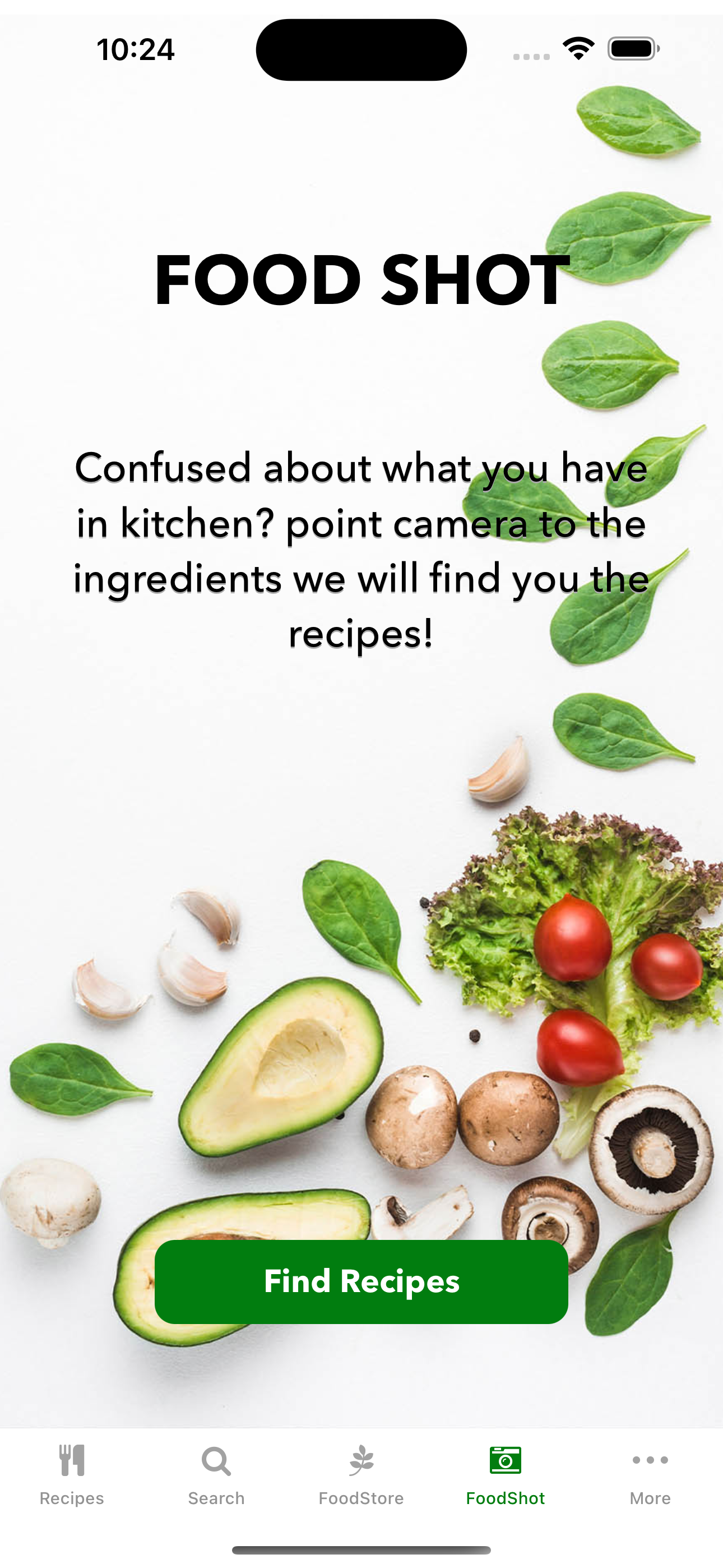 Vegetarian Recipe Book