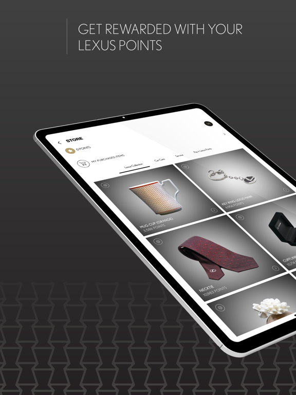 Lexus Iraq iPad screenshot 4 - Business app