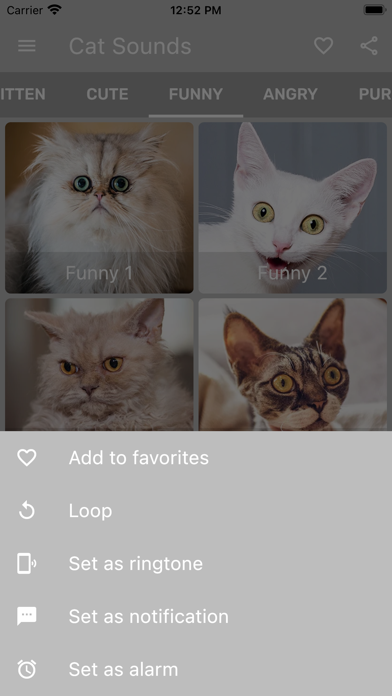 Cat Sounds - Meow Soundboard Screenshot