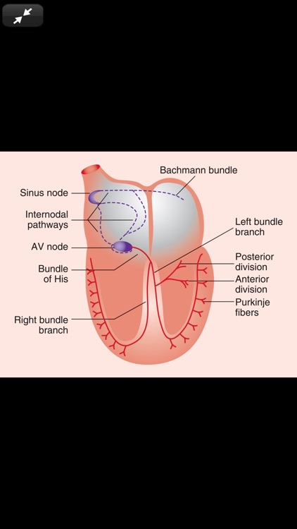 Pharmacotherapy Principles 6/E screenshot-7