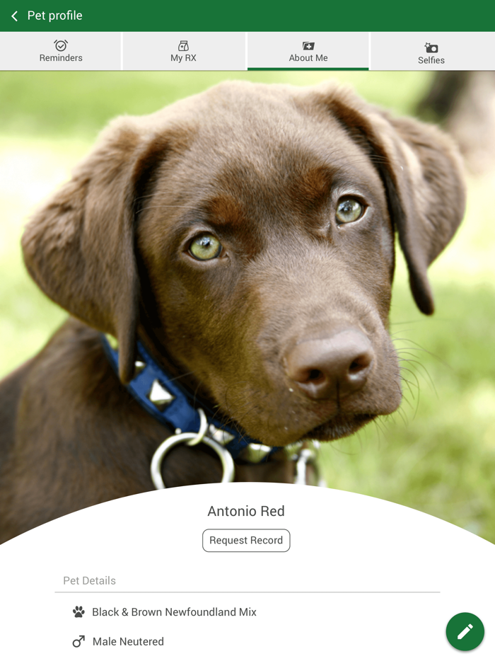 Hope Animal Hospital