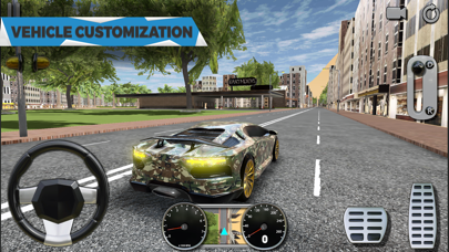 Deluxe Driving Simulator Screenshot