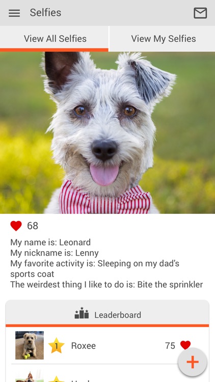 Vet Wellness Center N Canton screenshot-3