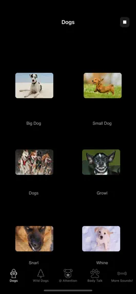 Game screenshot Dog Sounds & Body Talk mod apk