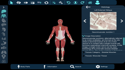 Vesalii Anatomy Inst Student Screenshot