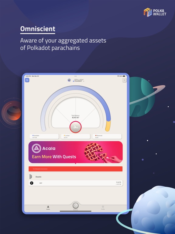 Screenshot #4 pour Polkawallet