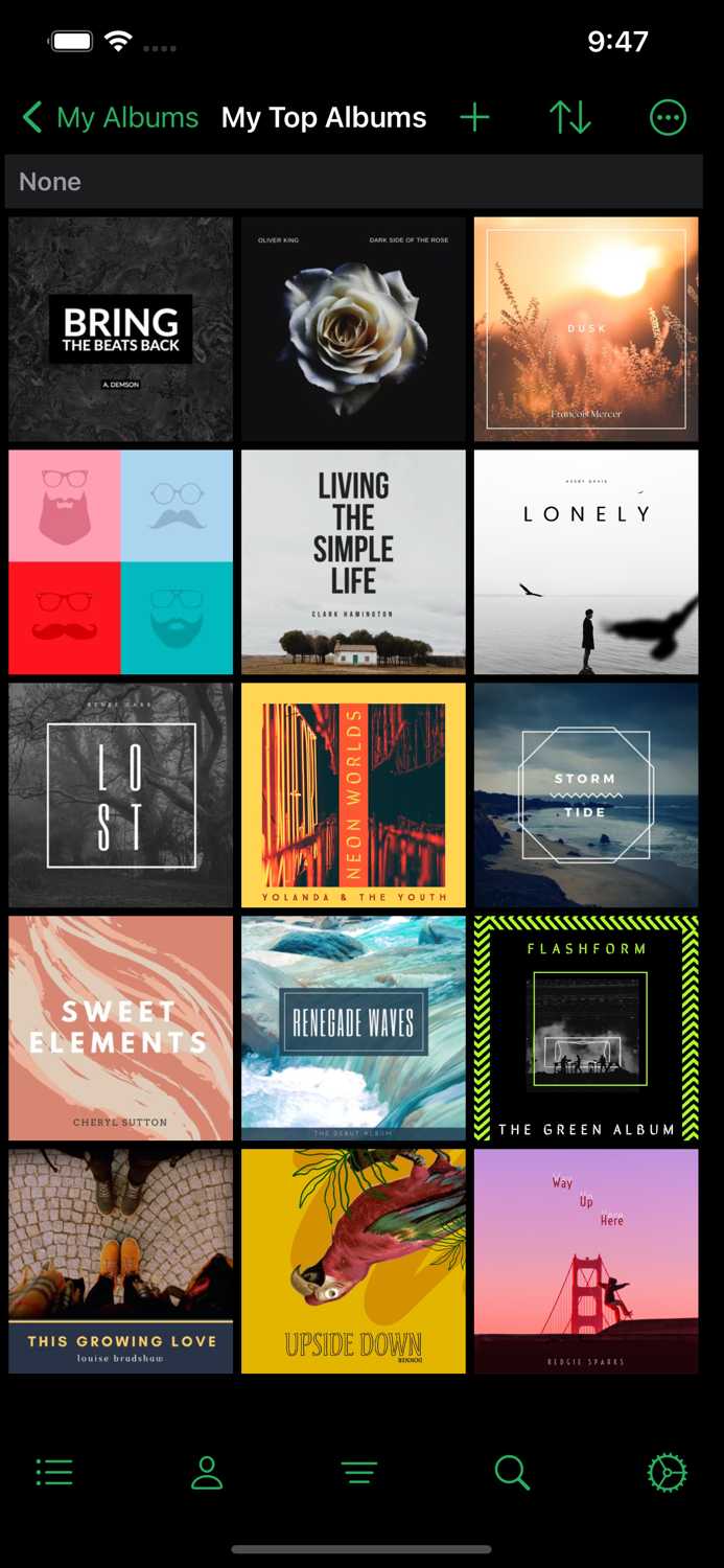 MusicBuddy Pro Vinyls and CDs