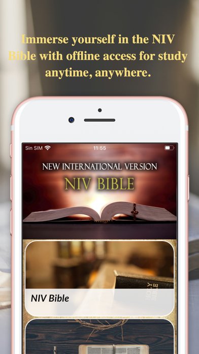 NIV Bible Offline Screenshot
