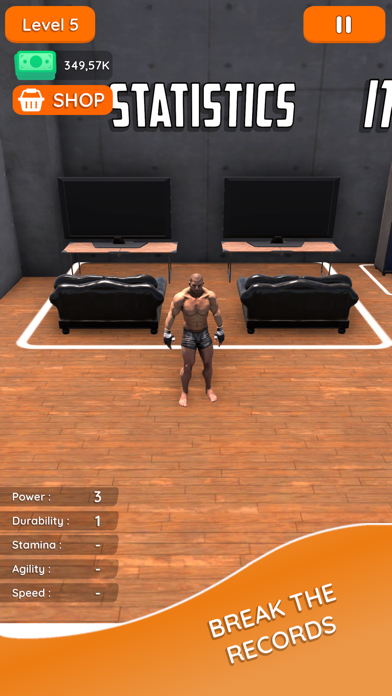 Boxer Mania Screenshot