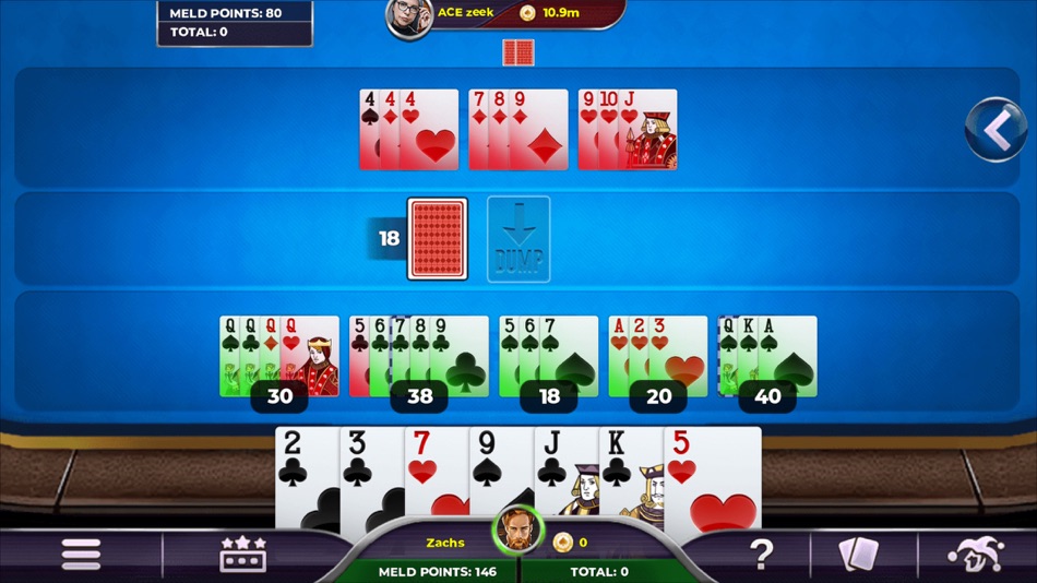 #5. Rummy 500 - Card Game (iOS) 由: VNPLAY