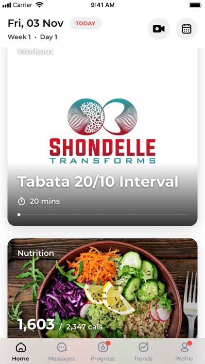 Shondelle Transforms