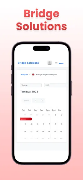 Game screenshot Bridge Solutions hack