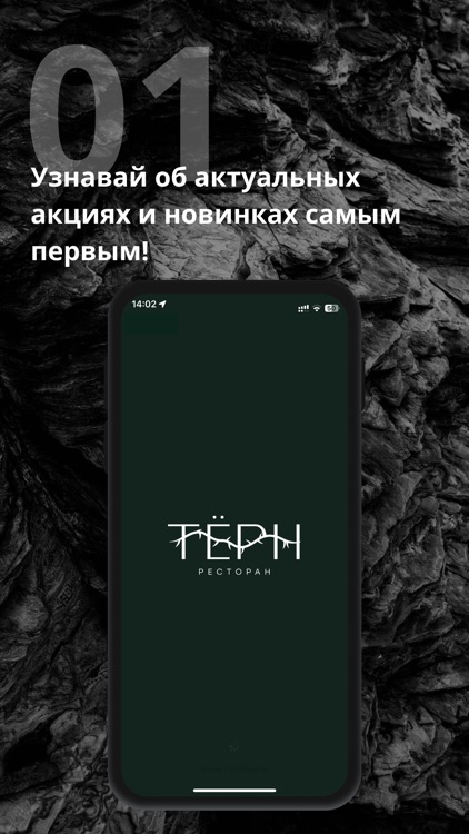 Тёрн