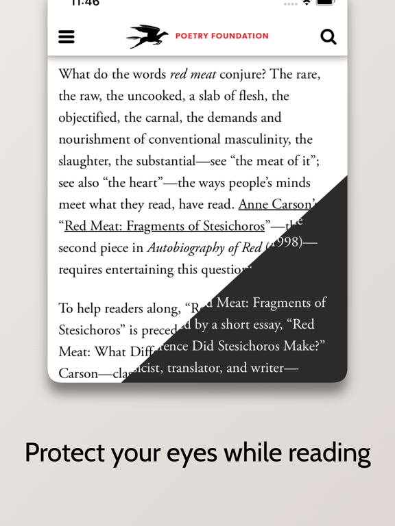 Screenshot #5 pour WebDark