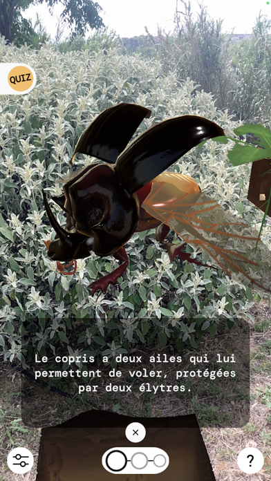 Les vies cachées du sol Screenshot