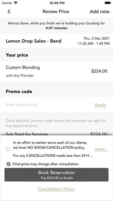 Lemon Drop Salon Screenshot