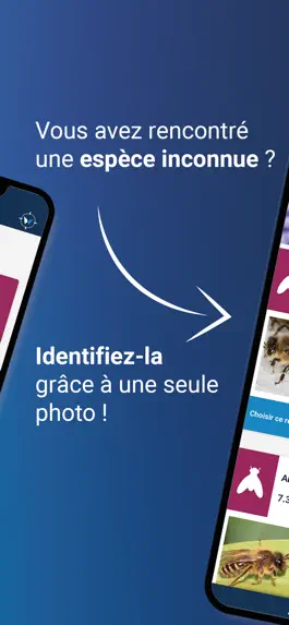 Game screenshot Wikipest apk