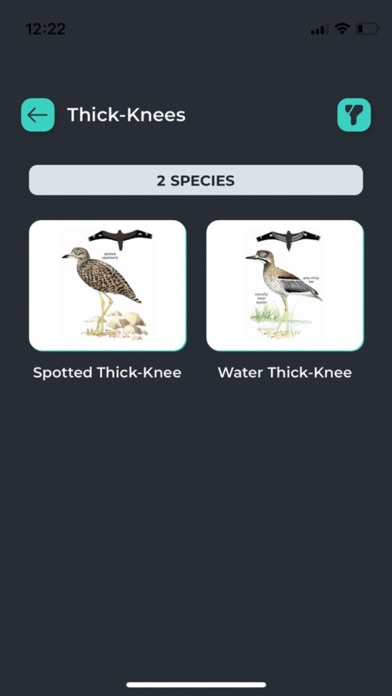 Newman’s Birds of Africa Screenshot