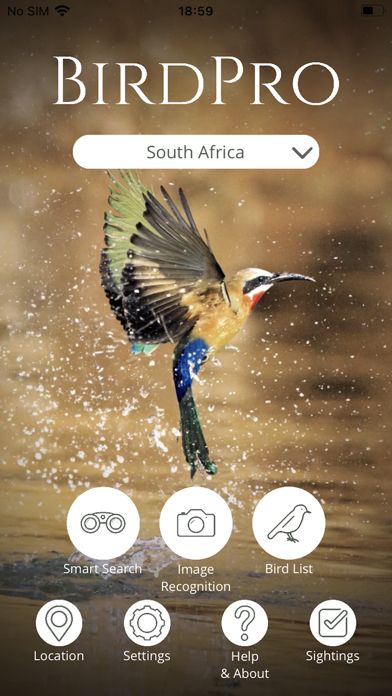 BirdPro Screenshot